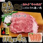 ふるさと納税 南知多町 牛肉 サーロ