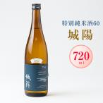 ふるさと納税 城陽市 日本酒「城陽