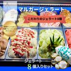 ふるさと納税 野々市市 受賞・まるごと能登ジェラート8個