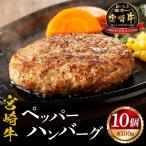 ふるさと納税 宮崎市 宮崎牛ペッパーハンバーグ 100g 10個入(宮崎市)