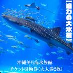 ショッピングチケット ふるさと納税 本部町 【迫力の大水槽】沖縄美ら海水族館　チケット引換券<大人券2枚>