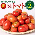 ふるさと納税 八代市 【訳あり】熊本県八代市産 規格外トマト 約2kg 【2026年4月中旬より順次発送】
