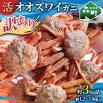 ショッピングふるさと納税 訳あり ふるさと納税 森町 【訳あり】活発送!北海道噴火湾産活オオズワイガニ(中小サイズ)約3kg詰め込みセット