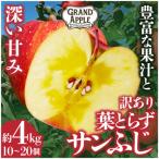 ふるさと納税 藤崎町 産地直送 葉とらずサンふじ 訳あり 約4kg