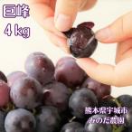 ふるさと納税 宇城市 【先行予約】【数量限定】熊本県 宇城市産 巨峰 ぶどう 4kg 【みのだ農園】