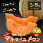 ふるさと納税 あわら市 【先行予約】佐藤農園のマルセイユメロン 約5kg《秀品》(3〜5玉入) 赤肉メロン