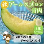 ふるさと納税 あわら市 【先行受付】秋 アールスメロン 1玉(1.7kg以上)青肉品種 高級メロン!