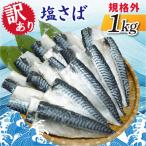 ふるさと納税 神栖市 【訳あり】規格外　塩さば　1kg