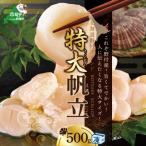 ふるさと納税 別海町 ほたて貝柱500g 肉厚 大玉 北海道野付産 生食 刺身 用 冷凍帆立貝柱『ホタテといえば別海町』