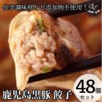 ふるさと納税 姶良市 鹿児島黒豚「短鼻豚(たんびとん)」餃子4パックセット[a-441](姶良市)