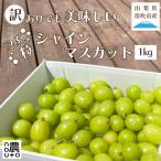 ショッピングふるさと納税 訳あり ふるさと納税 笛吹市 山梨県笛吹市産　訳あり　粒1kg以上　シャインマスカット(種なしぶどう)フルーツ【先行予約】