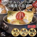 ふるさと納税 一関市 時短ヤケテルハンバーグ3種セット 120g(金格3個・白格1個・黒格1個) 計5個　レトルト