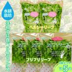 fu.... налог олень магазин город .... еда .... гидропонная культура lettuce 5 пакет 2257