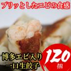 ふるさと納税 福岡市 博多エビ入り一口生餃子 120個 小分け便利8パック 創業40年以上福岡老舗会社製造 SN007