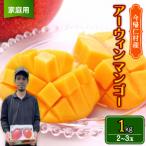 ふるさと納税 今帰仁村 【2026年6月から順次発送・家庭用】仲本マンゴー園のアーウィンマンゴー1kg(2〜3玉)