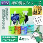 緑の魔女+アクアサニター 微酸性電解水 セット×4セット