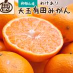 ショッピングわけあり ふるさと納税 広川町 ＜2024年11月より発送＞家庭用 大きな有田みかん5kg+150g(傷み補償分)【わけあり】