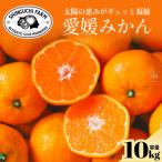 ふるさと納税 八幡浜市 【太陽の恵みがギュッと凝縮】愛媛みかん10kg【小玉】農家直送 愛媛県川上産【F70-5】
