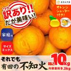 ふるさと納税 有田川町 不知火 (しらぬい) 訳あり それでも 箱込 10kg (内容量 9.2kg) サイズミックス