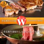 ふるさと納税 指宿市 【全2回定期便】ステーキ&すき焼き・しゃぶしゃぶ!W黒毛和牛の王道定期便(Z024-627)