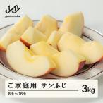 ふるさと納税 山辺町 訳あり 2024年産　生産者支援 サンふじ りんご 3kg (8玉〜16玉)