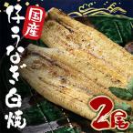ふるさと納税 潮来市 国内産うなぎ白焼(酒蒸)100〜120g 2尾 合計200グラム以上 訳あり(サイズ不揃い)