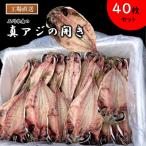 ふるさと納税 横須賀市 真アジの開き干物 40枚セット(冷凍)