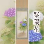 掛け軸 紫陽花 鈴木優莉 尺五立 サイズ:190×54.5cm