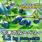 ふるさと納税 東通村 冷凍ブルーベリー1.2kg(600g×2袋)「青森県東通村産」
