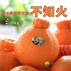 ふるさと納税 宇城市 先行予約【雑誌「MORE」掲載】松川果樹園の不知火5kg(15〜20玉程度)デコポン・不知火発祥地産