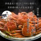 ふるさと納税 京丹後市 松葉蟹めす!京丹後市より茹でたて ! プロトン凍結 【 訳あり 】 茹でこっぺがに 香箱ガニ 5杯