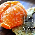 ショッピング甘平 ふるさと納税 八幡浜市 愛媛・八幡浜産「甘平:3kg」【訳あり】【D48-43】