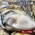 ふるさと納税 厚岸町 北海道厚岸産殻牡蠣【マルえもん 3Lサイズ 14個入り】 牡蠣ナイフ&軍手付き