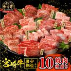 ふるさと納税 宮崎市 宮崎牛焼肉10種盛り合わせ(宮崎市)