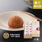 一粒の恵み20粒 紀州南高梅