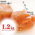 ふるさと納税 みなべ町 はちみつ梅干し1.2kg 紀州南高梅 和歌山県産[ご家庭用訳あり　はちみつ梅]