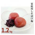 みなべの梅 しそ漬け 1.2kg