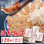 ふるさと納税 浜松市 浜松餃子　120粒(定番の味　30粒×4袋)　総重量2.4kg!