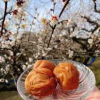 愛ちゃんのはちみつ梅600g 用化粧箱