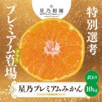 ふるさと納税 八幡浜市 星乃みかん小玉プレミアムシリーズ(10kg)【訳あり】【C45-85】