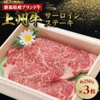 ふるさと納税 榛東村 上州牛サーロインステーキ 約250g×3枚