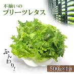 fu.... налог газонная трава гора блок не комплект. lettuce ..( плиссировать lettuce )500g×1 пакет 