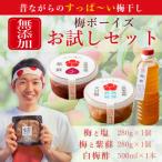 天日塩漬け 紫蘇漬け 各280g×1パック