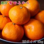 和歌山有田みかん約5kg 2Sサイズ