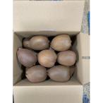 ふるさと納税 日野市 キウイフルーツ東京ゴールド　約2.5k箱詰め