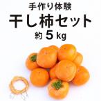 柿 柳フルーツ園 富有柿 約5kg