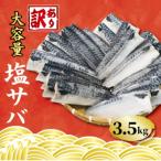 ふるさと納税 銚子市 【訳あり】塩鯖(冷凍) 約3.5kg　銚子東洋のフィレ規格外　
