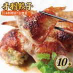 ふるさと納税 泉佐野市 日本料理屋のお惣菜 さのうまみ鶏 手羽先餃子10本 005A556
