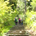 大山ブナの森ウォーク ガイドツアーペア引換券
