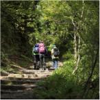 大山トリビア登山 登山ガイドツアー引換券